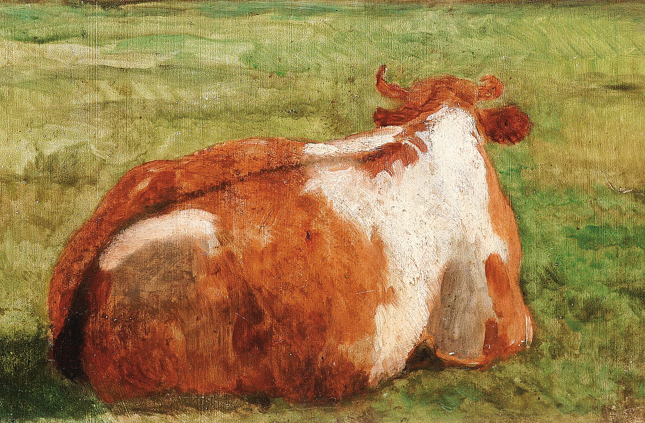 "Liegende Kuh auf der Weide"