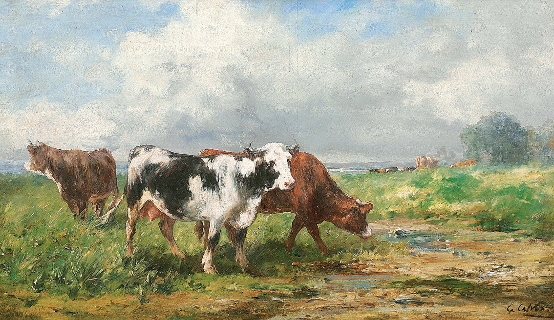 Cows out at feed in a wide landscape
