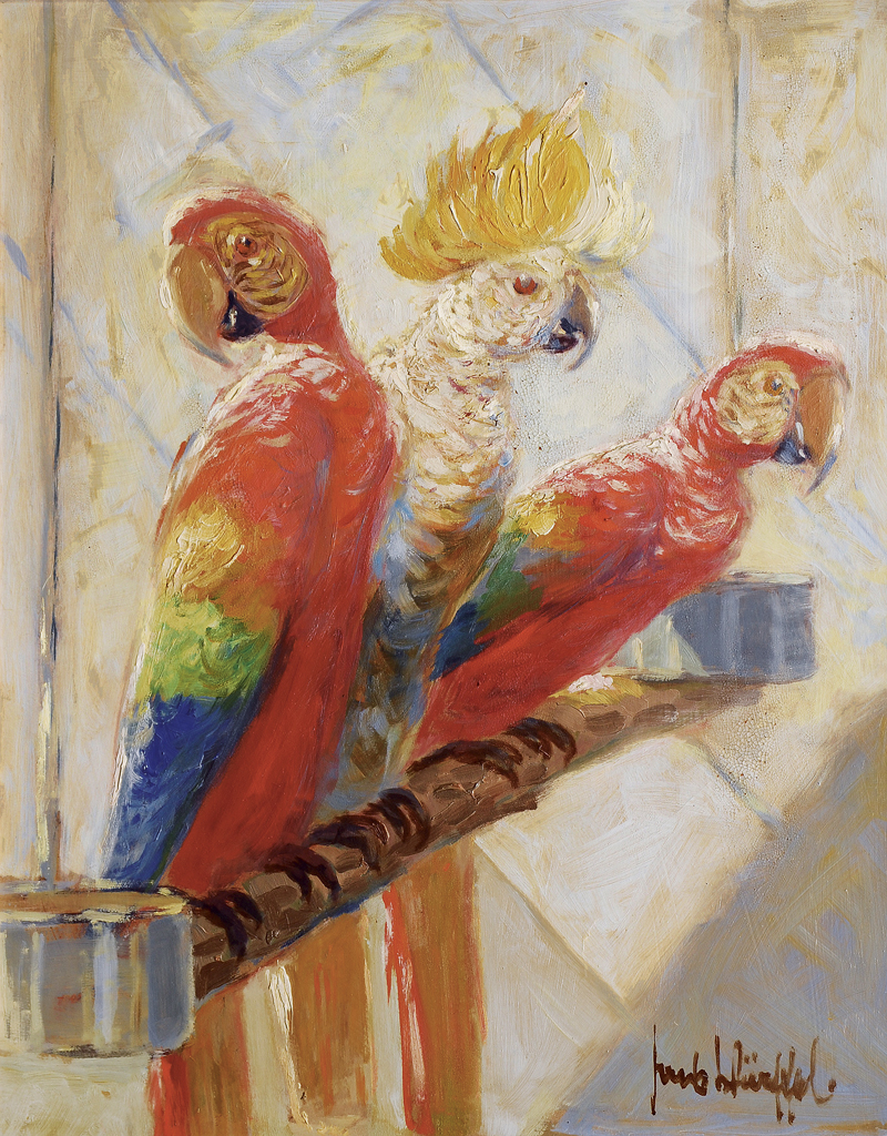 Three parrots