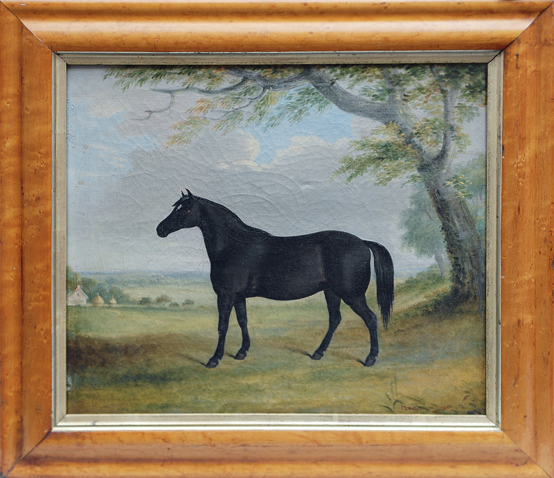Portrait of a Horse - image 2