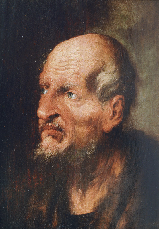Study of the Head of an old Man