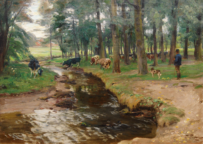 Cows in a Forest