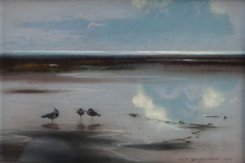 Lapwings in the Mudlands