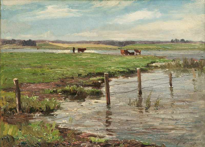 Kühe am Ufer