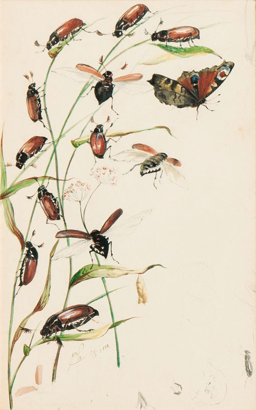 Blades with Chafers and a Butterfly