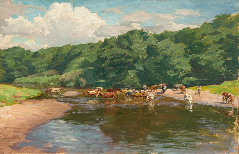 Cattle in the Water