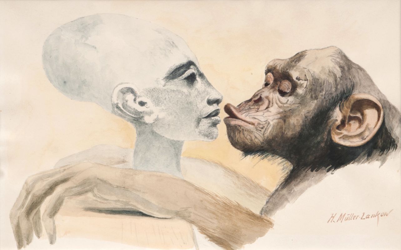 Nefertiti and a Chimpanzee