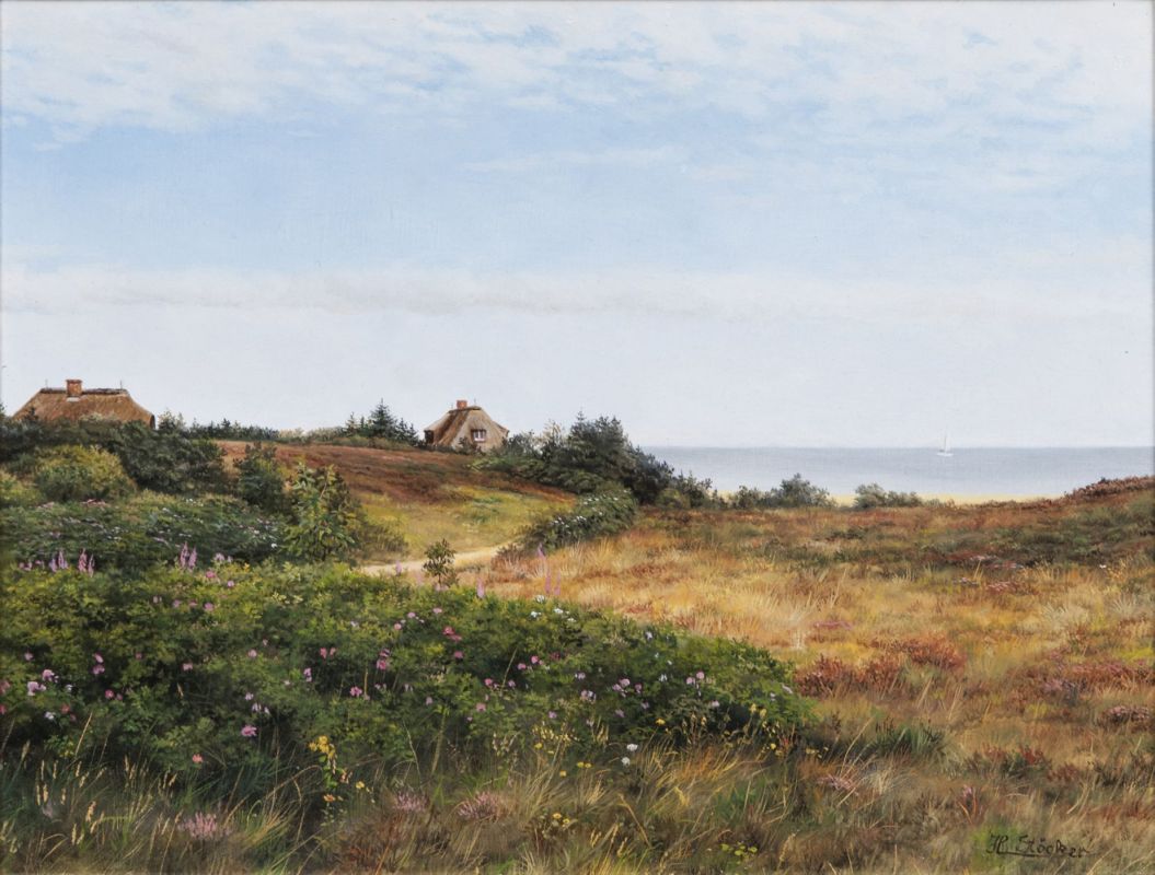 Summer Morning in the Braderup Heath on Sylt
