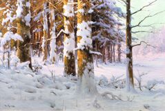 Winterwald im Sonnenlicht - Bild 1