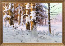 Winterwald im Sonnenlicht - Bild 2
