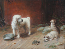 Junger Hund und zwei Kätzchen in der Nähe einer Mausefalle