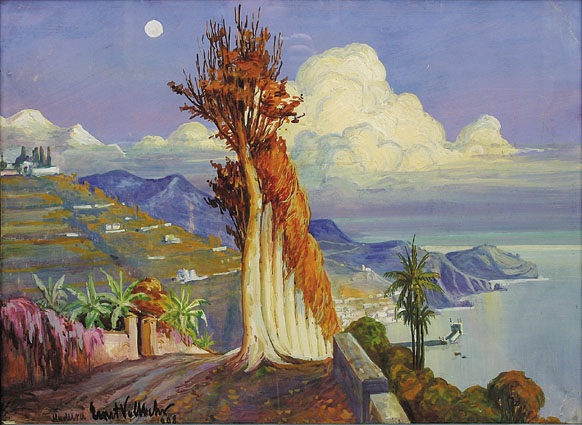 "Blick auf Funchal (Madeira)"