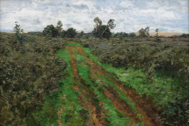 "A path in a large green landscape"