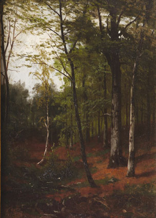 "A forest-interior"