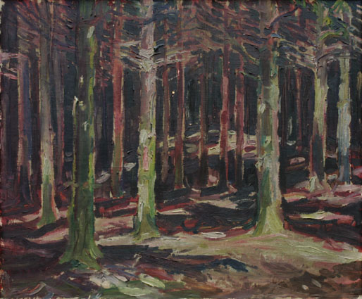 A forest interior