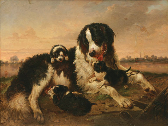 A dog's family in a river landscape