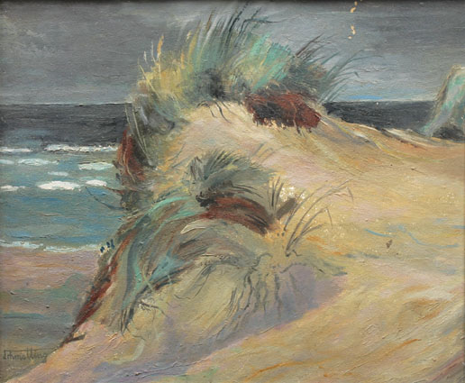 A dune landscape