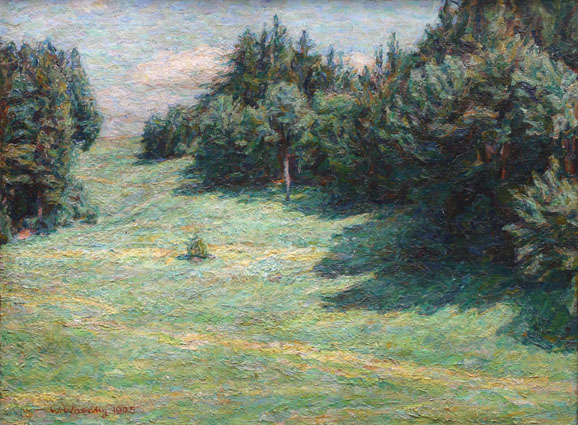 A large impression of a sunny meadow, a shadowy forest beside
