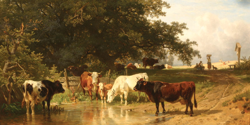 Kühe an der Tränke am Waldrand, Heuernte im Hintergrund