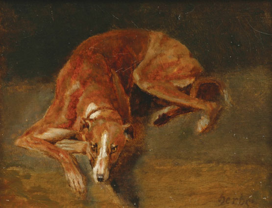 Portrait of a greyhound