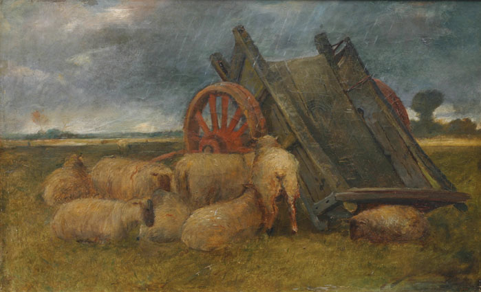 Sheep in a thunderstorm near a wheelbarrow