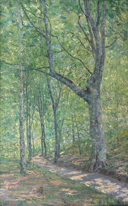 "A forest-interior in springtime" (I)