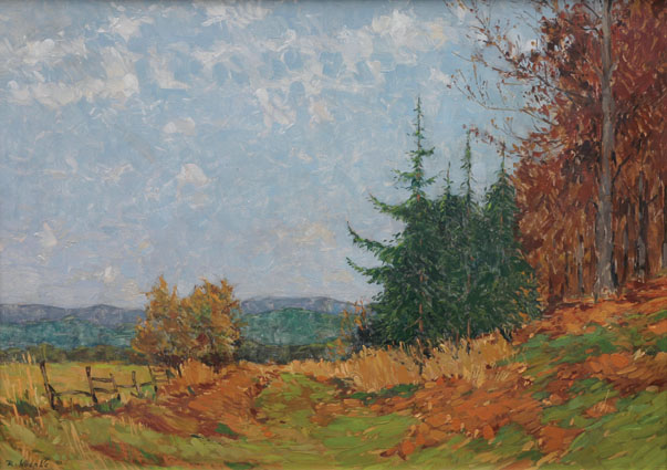 An autumn-landscape in Lower Saxony