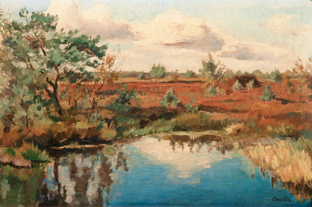 A heath landscape in sunshine