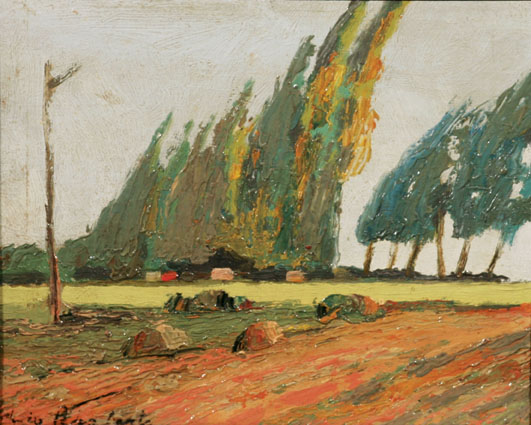 "A landscape in the surroundings of Buenos Aires"