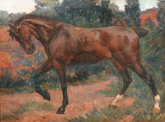 Dark brown stallion, full length, in a landscape