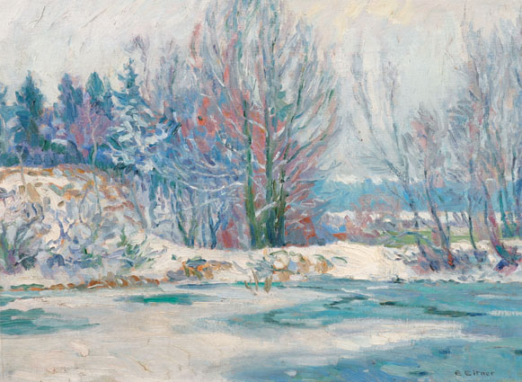 "A wintry pond in the woods near Hamburg"