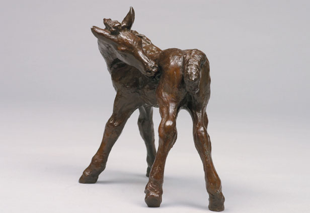 A small figure 'foal'