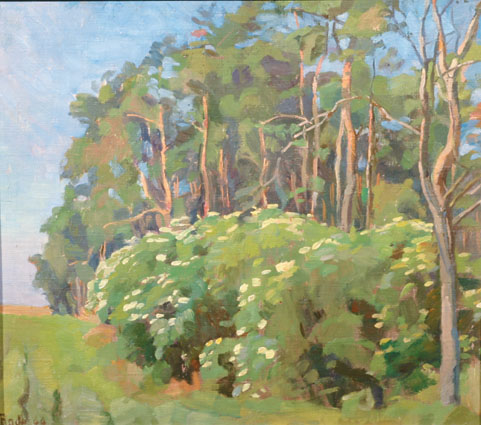 A wooded landscape with flourishing bushes