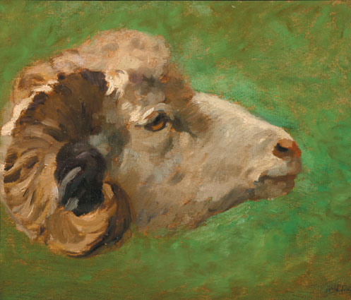 Head of a ram on green background