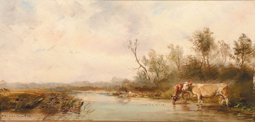 Cattle at a waterplace in a moor landscape near Munich