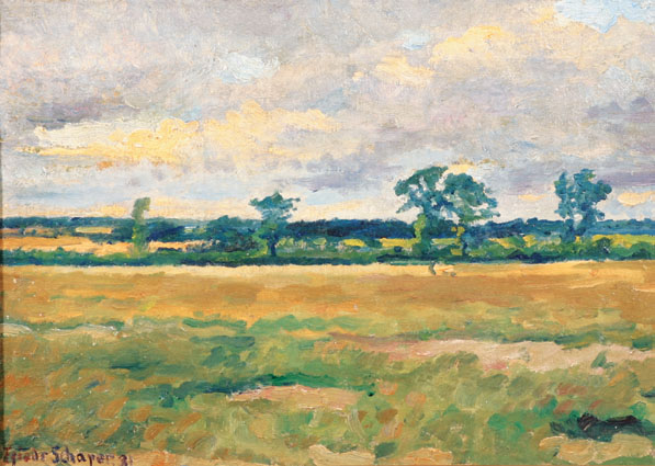 A summer landscape in Schleswig-Holstein