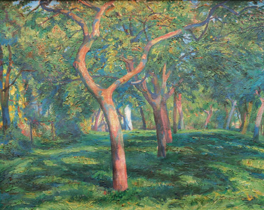 "View of an orchard"
