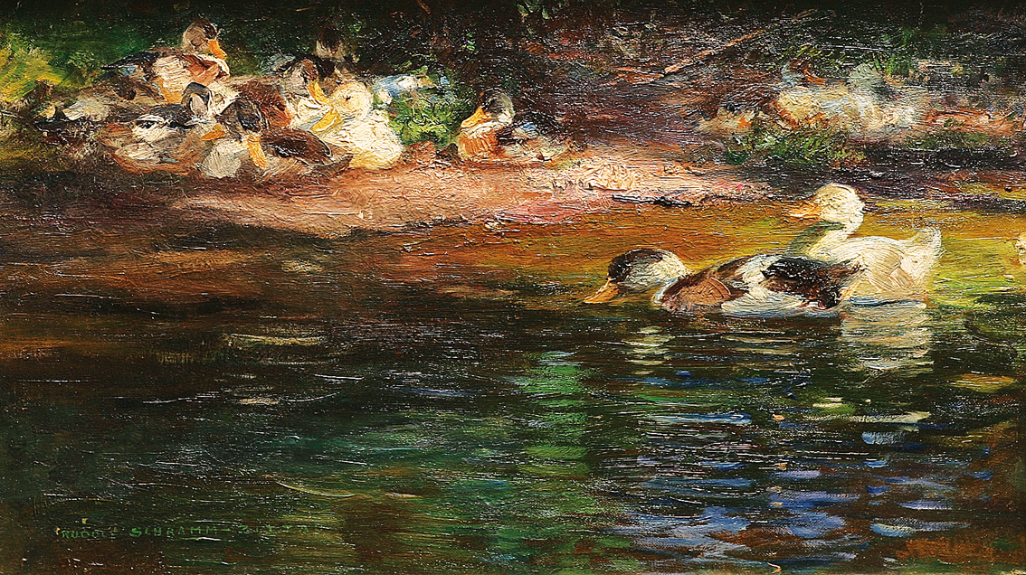 "Ducks on the banks and in the water"