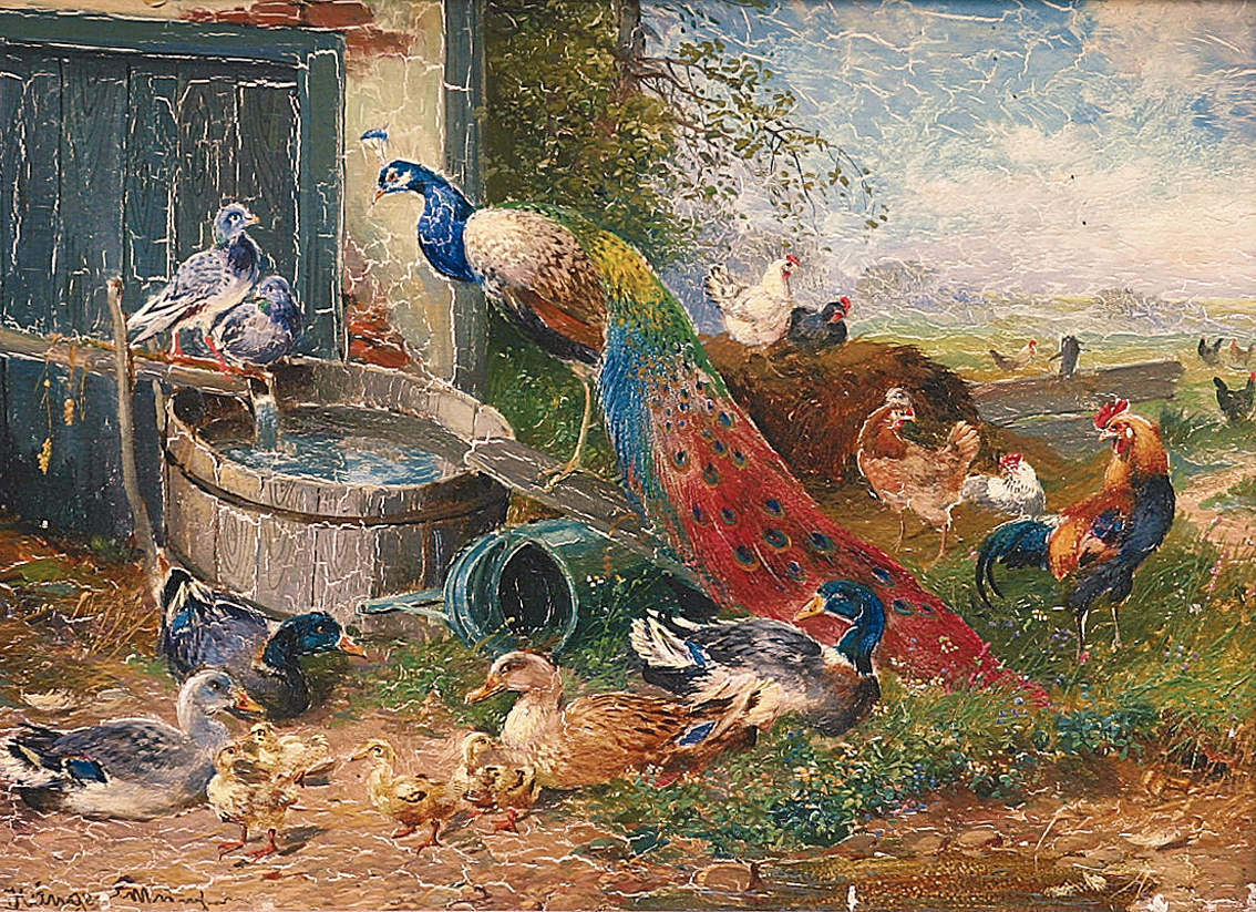 "Geflügelhof mit Pfau"
