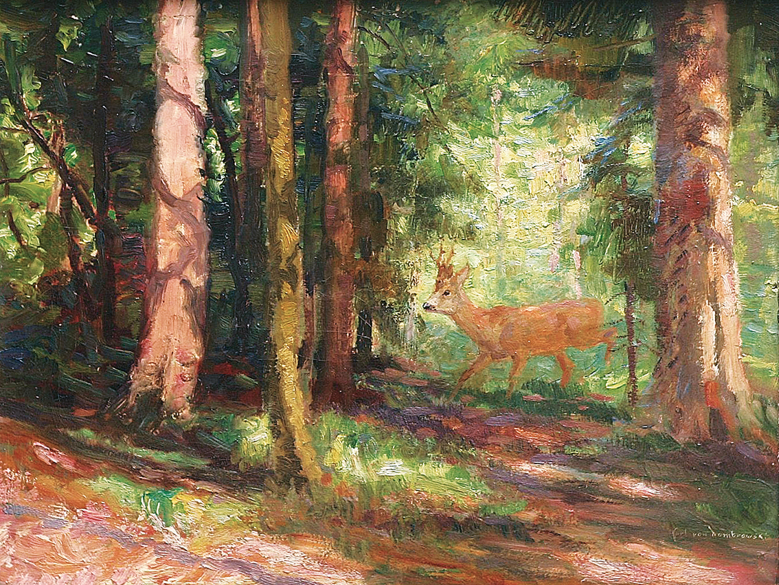 A forest interior with a young roebuck