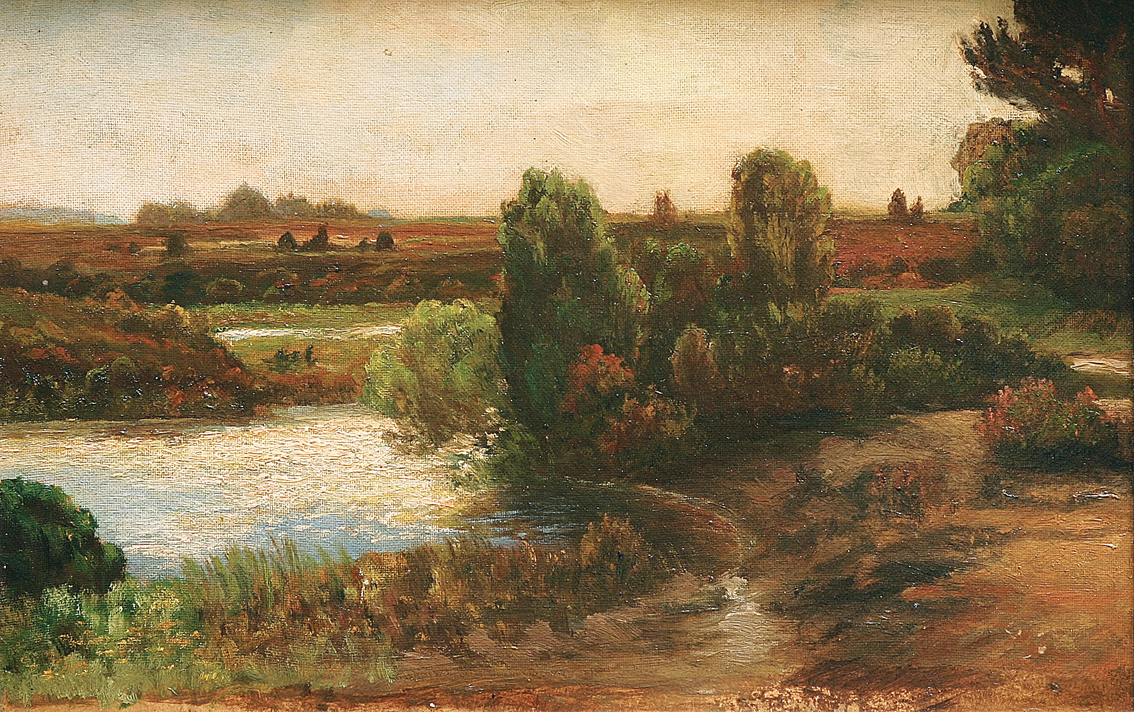 A heath-landscape