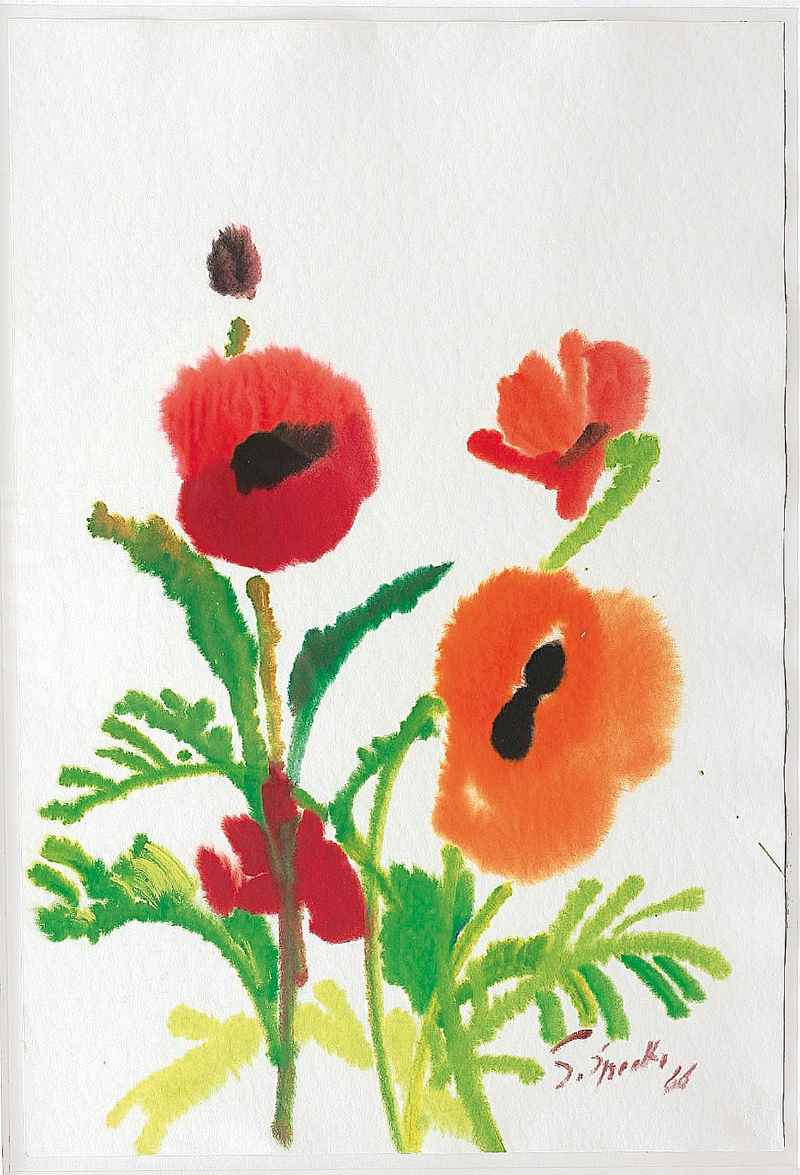 "Poppy"