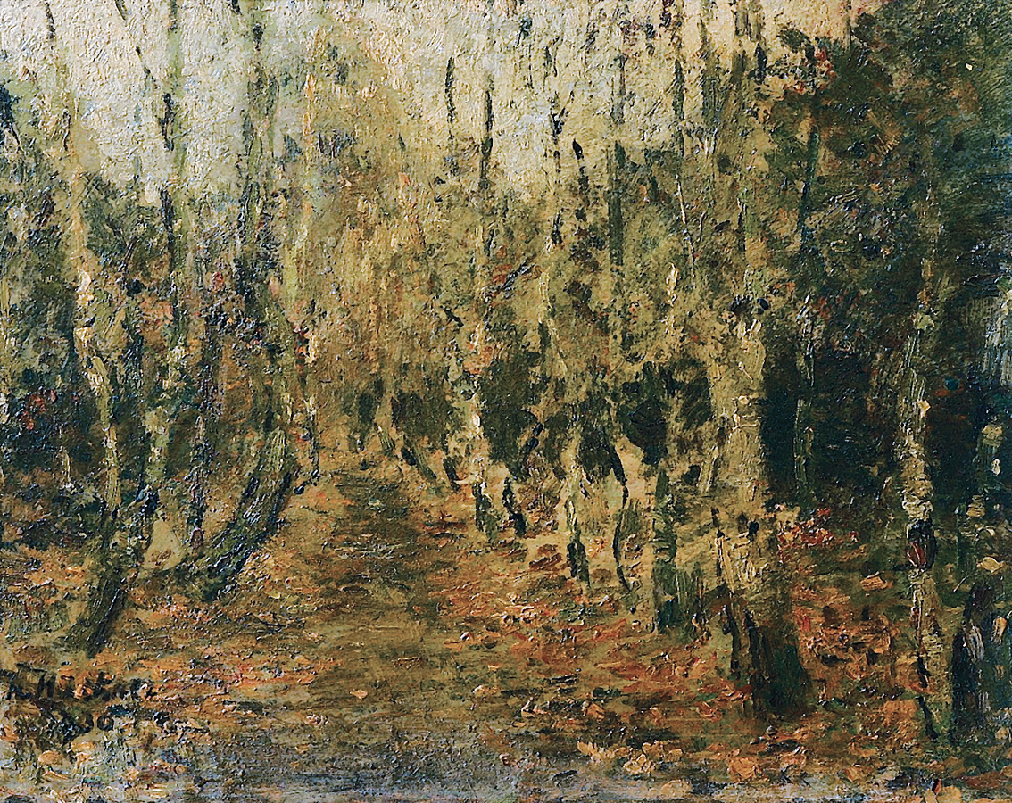 A path through a birchwood near Wedel