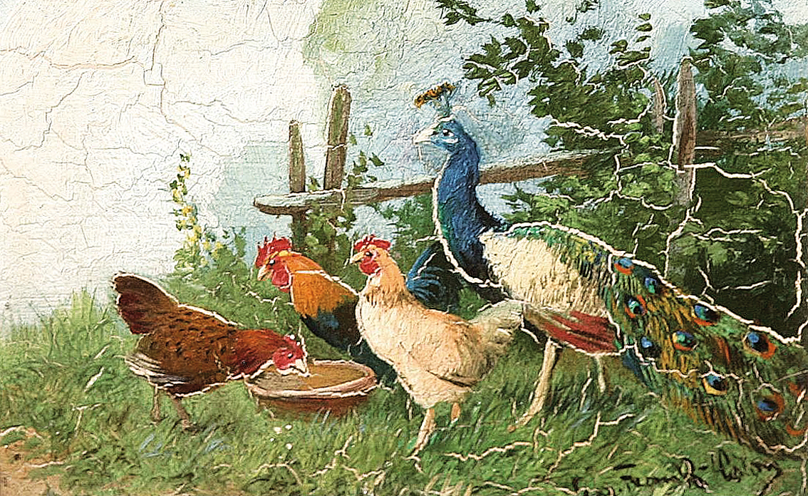 A poultry yard at the end of the garden