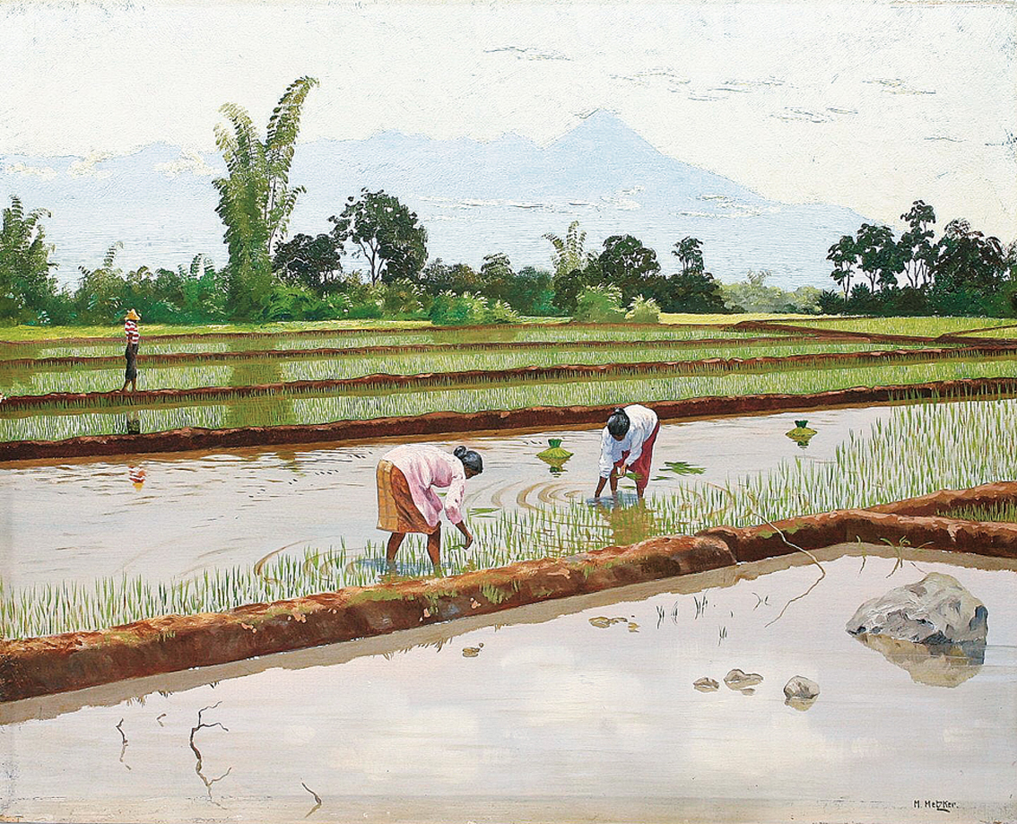 "Rice-harvesting women on Java"
