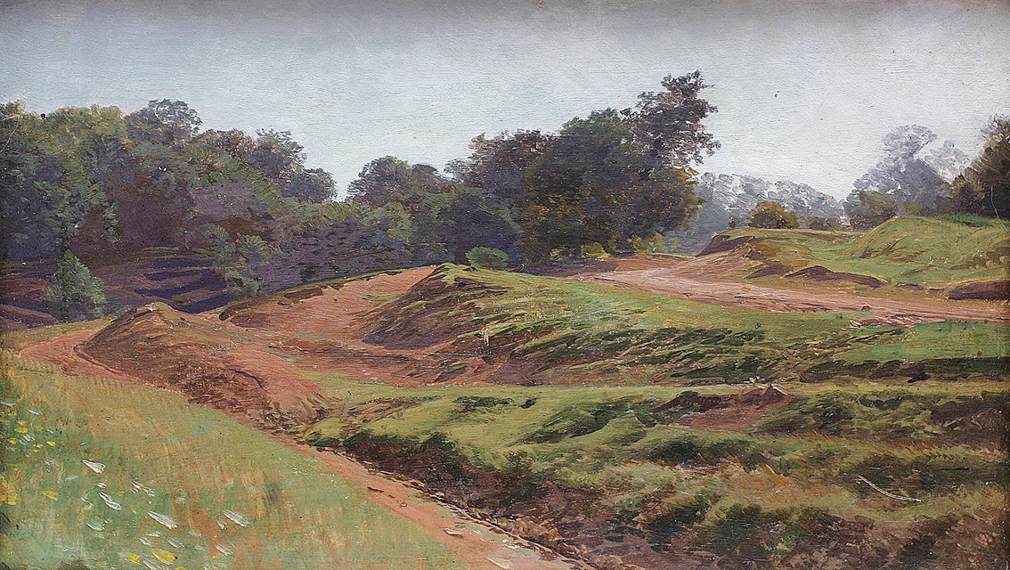 A landscape with loamy steps, a path and a forest