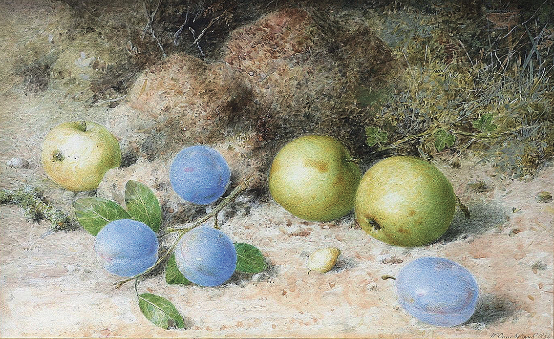 William Cruickshank - A stillife with apples and plums in the garden A stillife with apples and plums in the garden