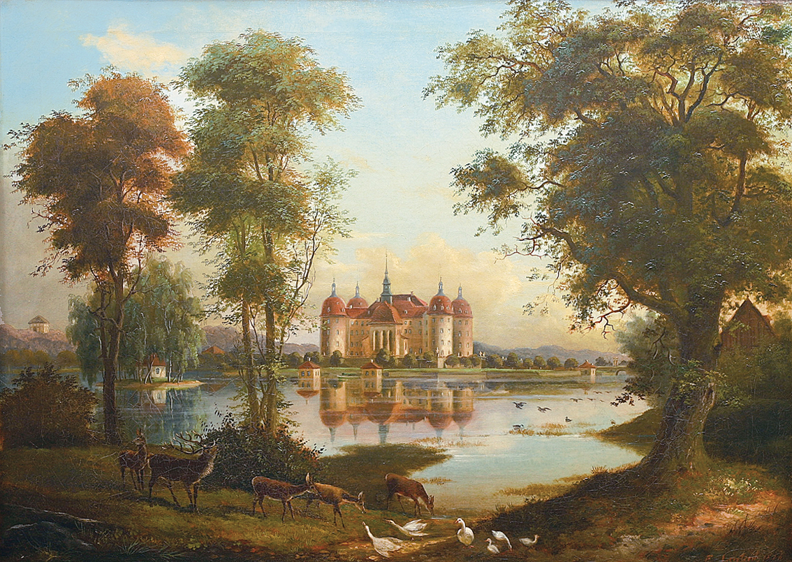 "A view on the Moritzburg"