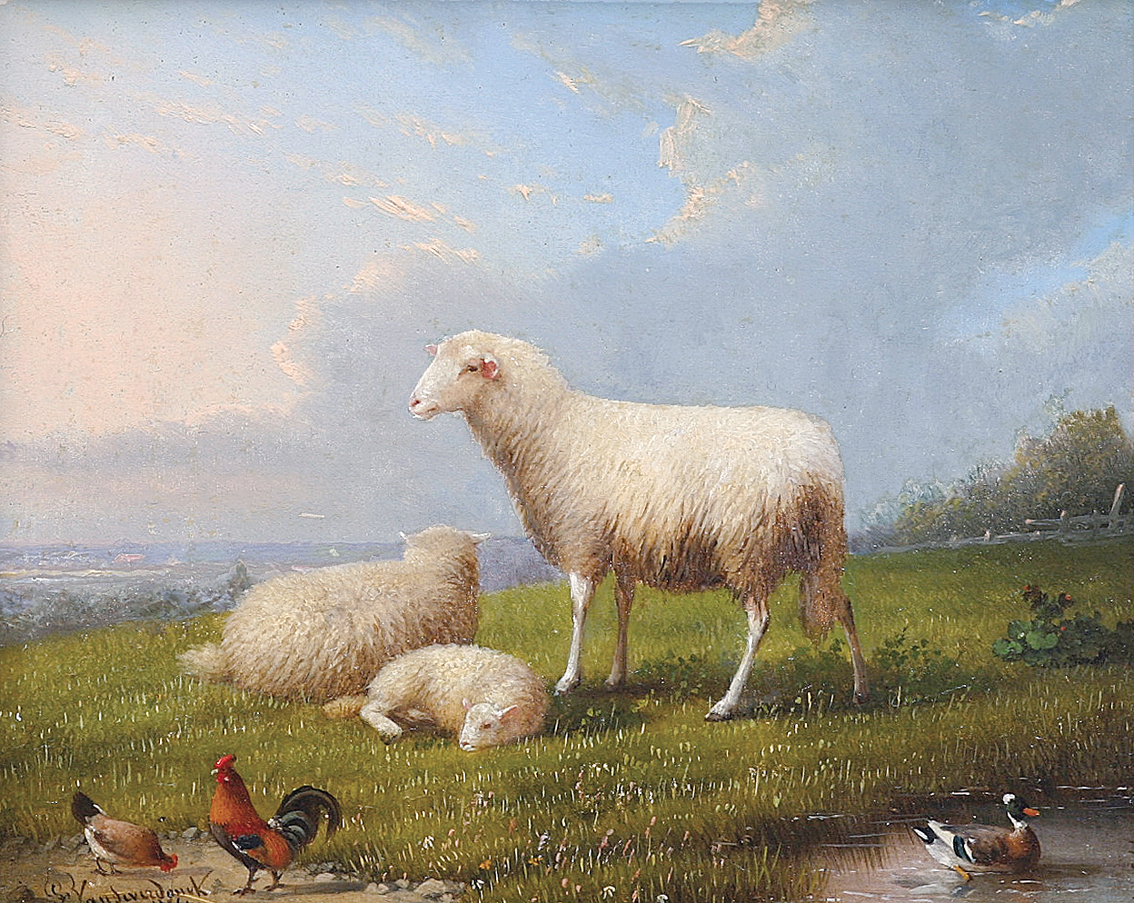 Schafe auf der Weide mit fernem Dorf