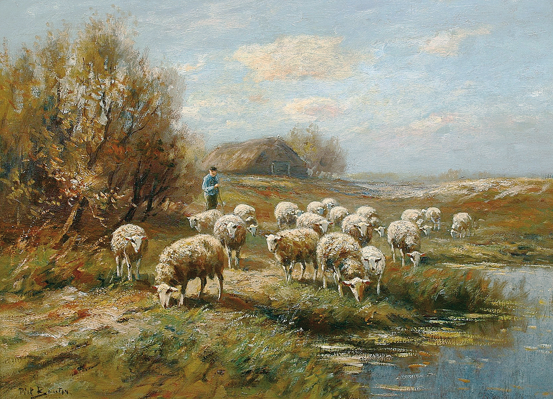 A shepherd and his flock